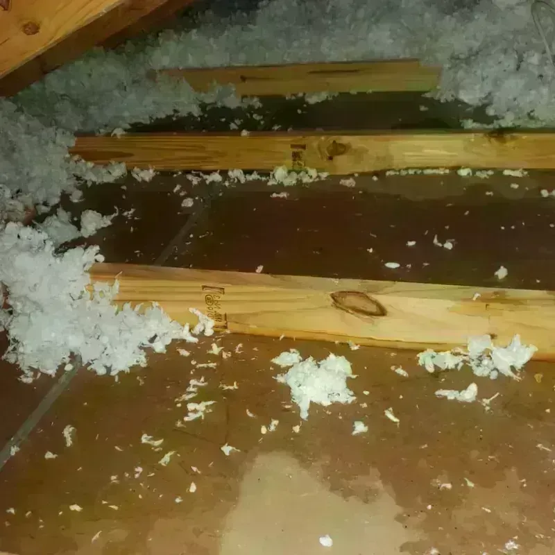 Attic Water Damage in West Terre Haute, IN